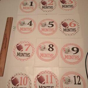 NEW Baby milestone stickers 1-12 Months -University of Tennessee